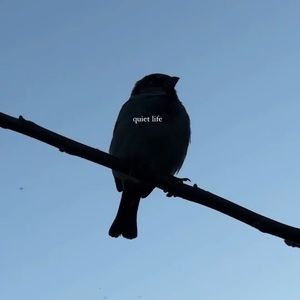 Meet your Posher, Jo anne